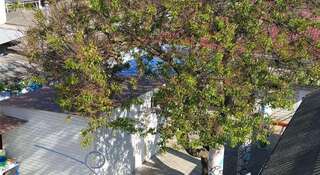 Гостиница Sanita Guest House Анапа Двухместный номер с 2 отдельными кроватями и видом на город-8